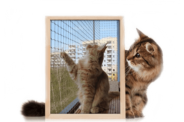 Zabezpieczenia balkonu dla kota