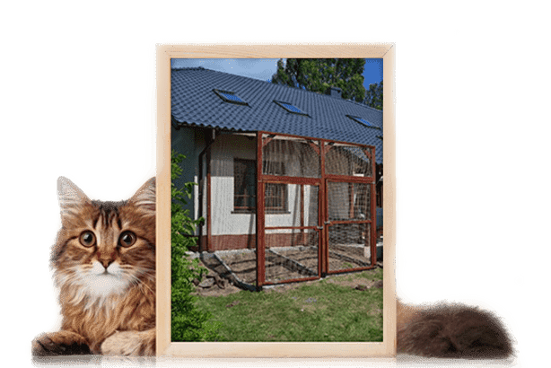 Woliera dla kotów