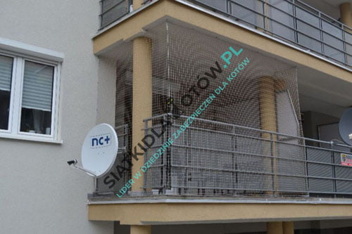 Balkon bezpieczny dla kota - jak go zaaranżować