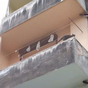 SIATKA NA BALKON - KOSZALIN