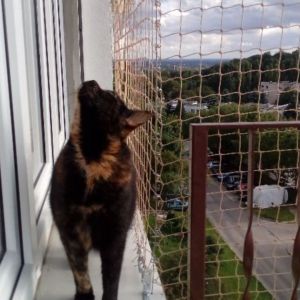 POŁĄCZENIE ZABEZPIECZENIA BALKONU I OKNA