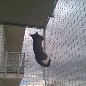 OSIATKOWANIE BALKONU - STARGARD