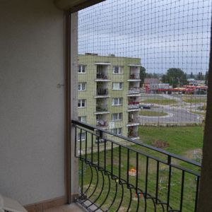 SIATKA DLA KOTA NA BALKON - TCZEW