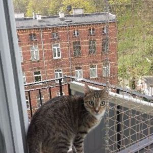 ZABEZPIECZENIE BALKONU I OKNA - GDAŃSK