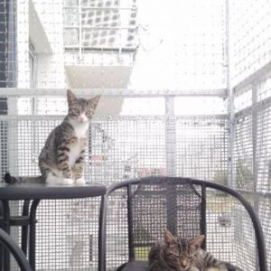 ZABEZPIECZENIE BALKONU - STARGARD