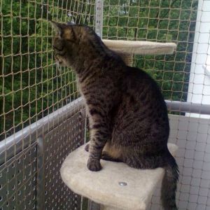 ZABEZPIECZENIE BALKONU SIATKĄ - POZNAŃ