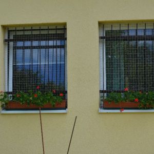 SIATKA OCHRONNA DLA KOTA -BYDGOSZCZ