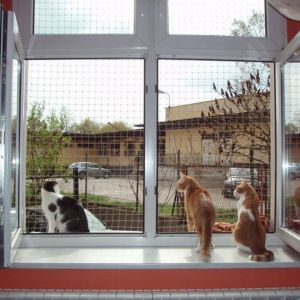 MONTAŻ SIATKI OCHRONNEJ DLA KOTA - BYDGOSZCZ