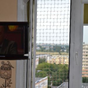 ZABEZPIECZENIE OKNA SIATKĄ DLA KOTA - TORUŃ