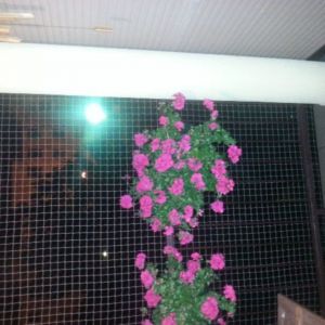 ZABEZPIECZENIE OKNA SIATKĄ - POZNAŃ