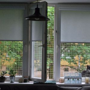 KOCIA SIATKA NA OKNO - WŁOCŁAWEK