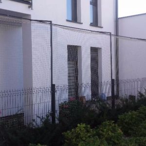 OSIATKOWANIE TARASU DLA KOTA - MOSINA K. POZNANIA