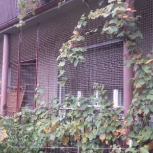 ZABEZPIECZENIE TARASU SIATKĄ WRAZ Z MONTAŻEM DRZWI - KOŁO