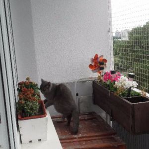 SIATKA OCHRONNA NA BALKON - MONTAŻ POZNAŃ