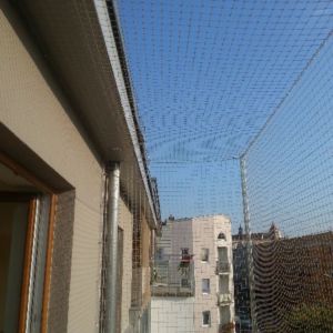 ZADASZENIE Z SIATKI - TARAS W GNIEŹNIE