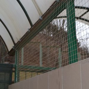 BOKS DLA KOTÓW Z SIATKI