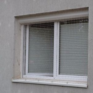 KOCIA SIATKA NA OKNO