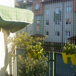 SIATKA OCHRONNA DLA KOTA