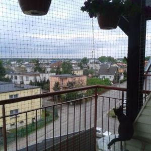 SIATKA BALKONOWA DLA KOTA - BYDGOSZCZ