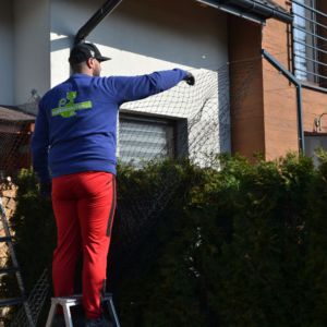 dopinanie siatki polietylenowej - zabezpieczanie ogrodu dla kota.JPG