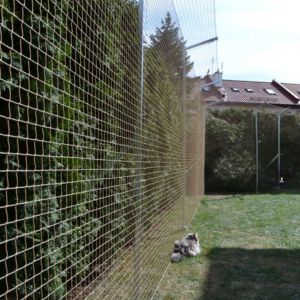 siatka dla kota do ogrodu w Warszawie.JPG