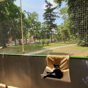 SIATKA BALKONOWA SZCZECIN