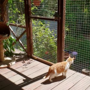 MONTAŻ KOCIEJ SIATKI NA TARASIE - POZNAŃ