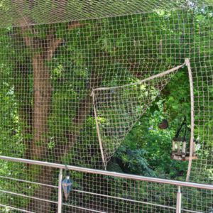 PUNKTOWE OTWIETANIE SIATKI DLA KOTÓW - GDAŃSK