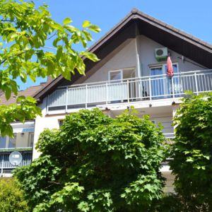 SIATKA BALKONOWA DLA KOTA - SZCZECIN