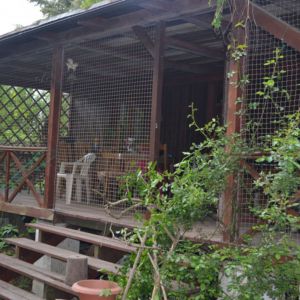 OCHRONA TARASU SIATKĄ POLIETYLENOWĄ - GDAŃSK