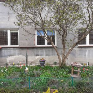 OKNA Z PÓŁKAMI I SCHODKAMI DLA KOTA