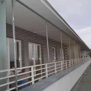 SIATKI DLA KOTA - MONTAŻ BEZ WIERCENIA W ELEWACJI - SZCZECIN