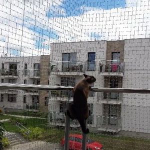 SIATKA OCHRONNA NA BALKON - GDAŃSK