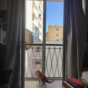 ZABEZPIECZENIE WNĘKI BALKONOWEJ SIATKĄ DLA KOTA - WARSZAWA