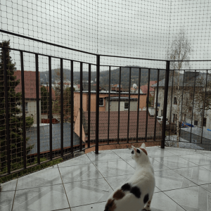 OCHRONA BALKONU DLA KOTA ZA POMOCĄ SIATKI - REDA