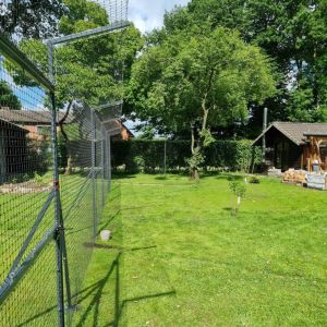 OCHRONA OGRODU DLA KOTÓW - WARSZAWA
