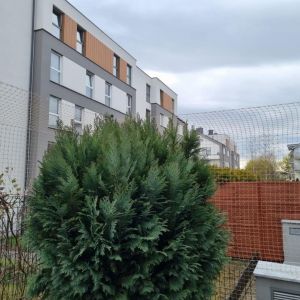 ZABEZPIECZENIE OGRÓDKA PRZYBLOKOWEGO - POZNAŃ 