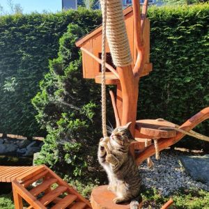 KONAR WRAZ Z PÓŁKAMI 