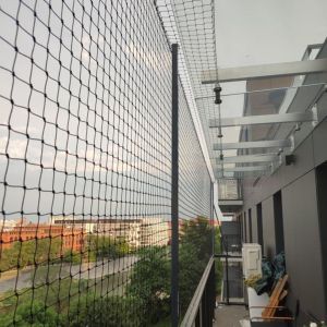 OCHRONA TARASU DLA KOTA Z WYKORZYSTANIEM NIEPEŁNEGO ZADASZENIA ZE SZKŁA - WROCŁAW 