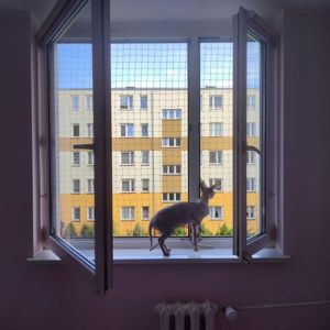 ZABEZPIECZENIE OKNA DLA KOTA ZA POMOCĄ SIATKI - TORUŃ