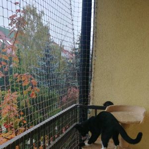 ZABEZPIECZENIE BALKONU SIATKĄ - BYDGOSZCZ