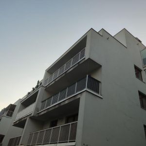 SIATKA DLA KOTA NA BALKON - ZĄBKI