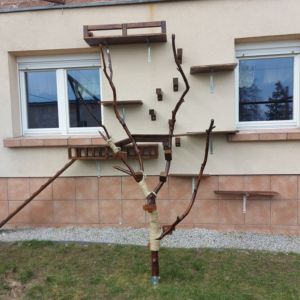 KONAR WRAZ Z SYSTEM PÓŁEK