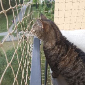 SIATKA NA BALKON - MALBORK