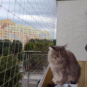 SIATKA OCHRONNA BALKONOWA - MONTAŻ GDAŃSK