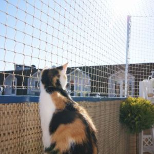 SIATKA OCHRONNA NA BALKON - BYDGOSZCZ
