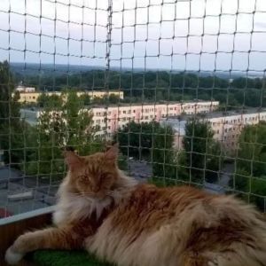 SIATKA NA BALKON - GDAŃSK