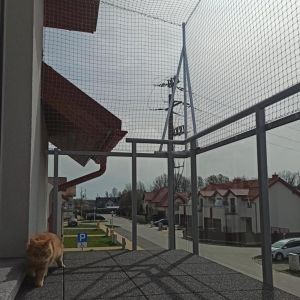 KOT BEZPIECZNY NA BALKONIE - GDAŃSK