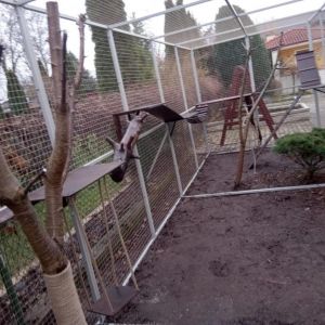 WYPOSAŻENIE WOLIERY DLA KOTÓW - PÓŁKI, SCHODKI, KONARY