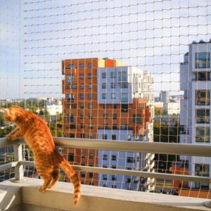 SIATKA OCHRONNA DLA KOTA - GDAŃSK